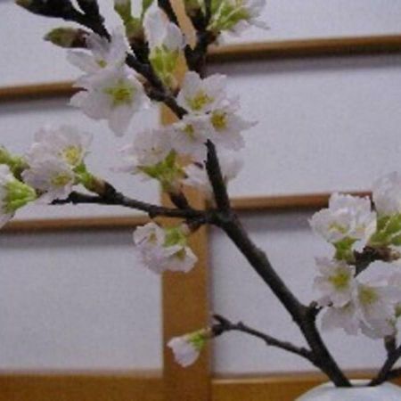 סקאטה Wakaba Ryokan / Vacation Stay 29376 מראה חיצוני תמונה